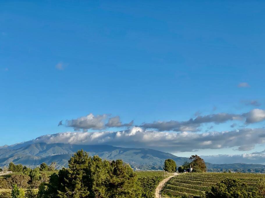 Que Syrah Temecula - Villa With 9 Bedroom 7 Ba With Spa In Wine Country Buitenkant foto