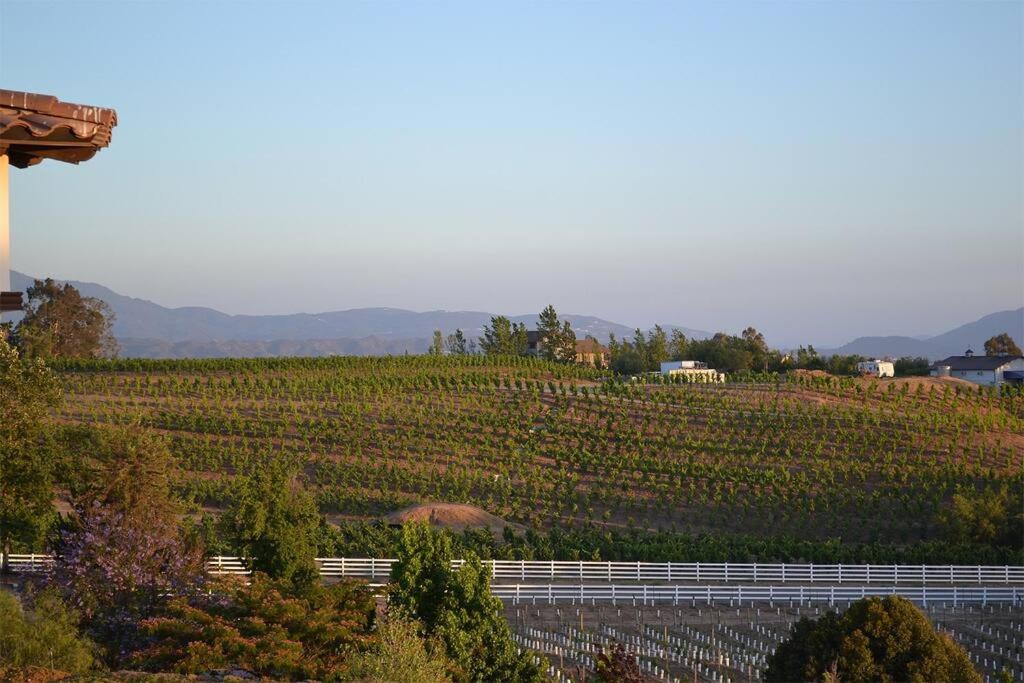 Que Syrah Temecula - Villa With 9 Bedroom 7 Ba With Spa In Wine Country Buitenkant foto