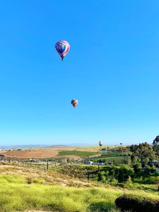 Que Syrah Temecula - Villa With 9 Bedroom 7 Ba With Spa In Wine Country Buitenkant foto