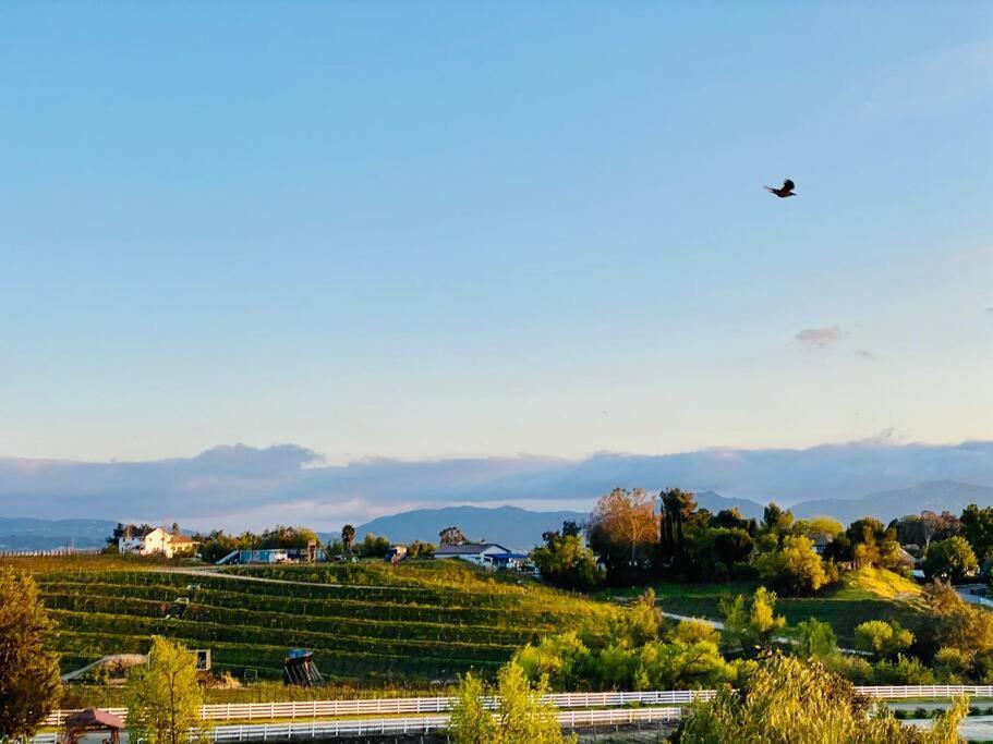 Que Syrah Temecula - Villa With 9 Bedroom 7 Ba With Spa In Wine Country Buitenkant foto