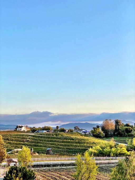Que Syrah Temecula - Villa With 9 Bedroom 7 Ba With Spa In Wine Country Buitenkant foto
