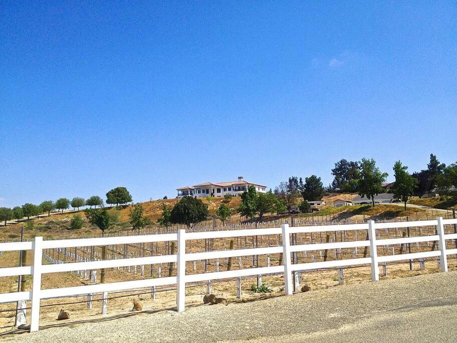 Que Syrah Temecula - Villa With 9 Bedroom 7 Ba With Spa In Wine Country Buitenkant foto